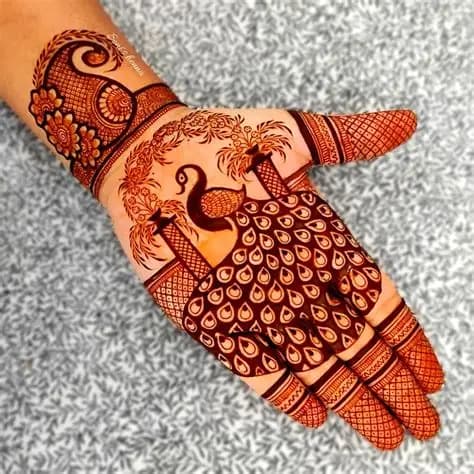 Peacock garden bridal palm