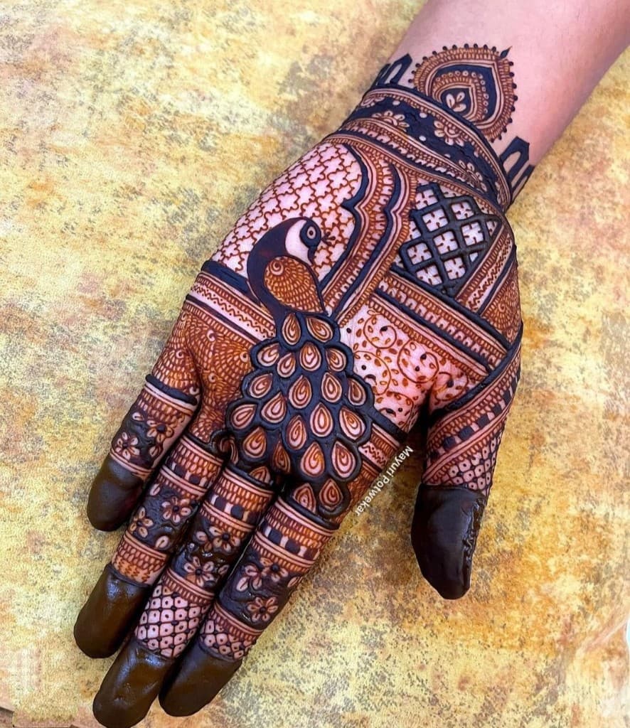 Peacock bridal palm